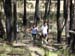 Boys_running_thru_bush